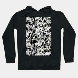 Lichen Hoodie